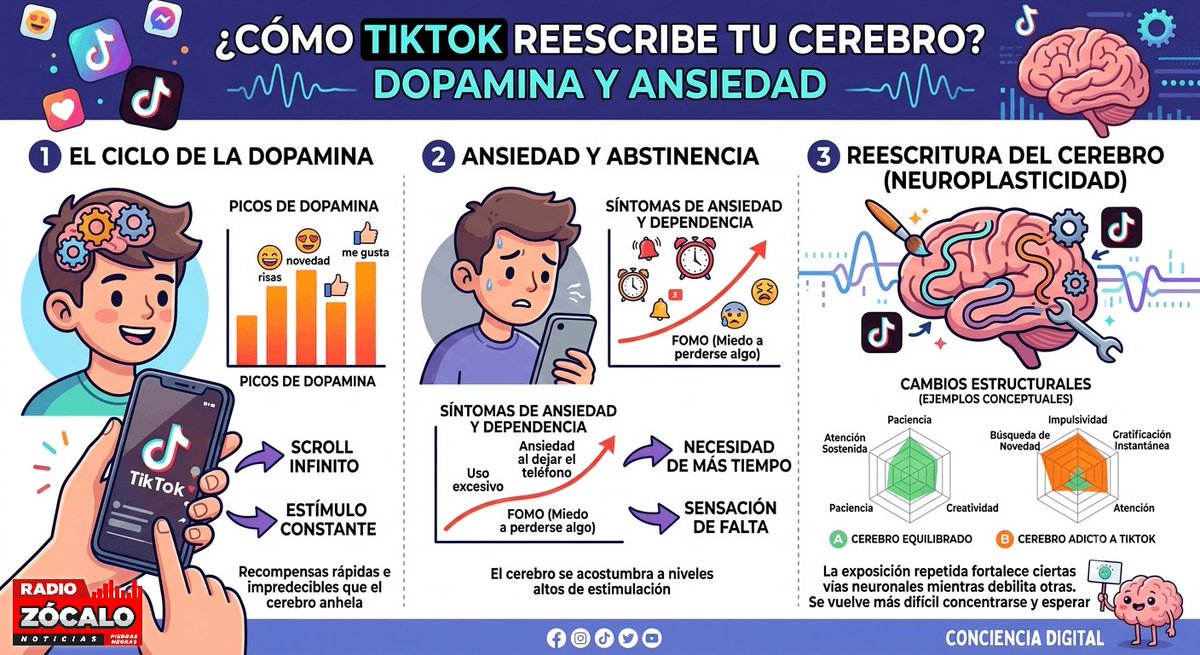 Radio_Zocalo's tweet photo. TikTok, dopamina y ansiedad: Así reescriben tu cerebro
https://t.co/GPVg2uPx2o
#RedesSociales #Tiktok #Estudios #SaludMental https://t.co/WHSMQkKE7u