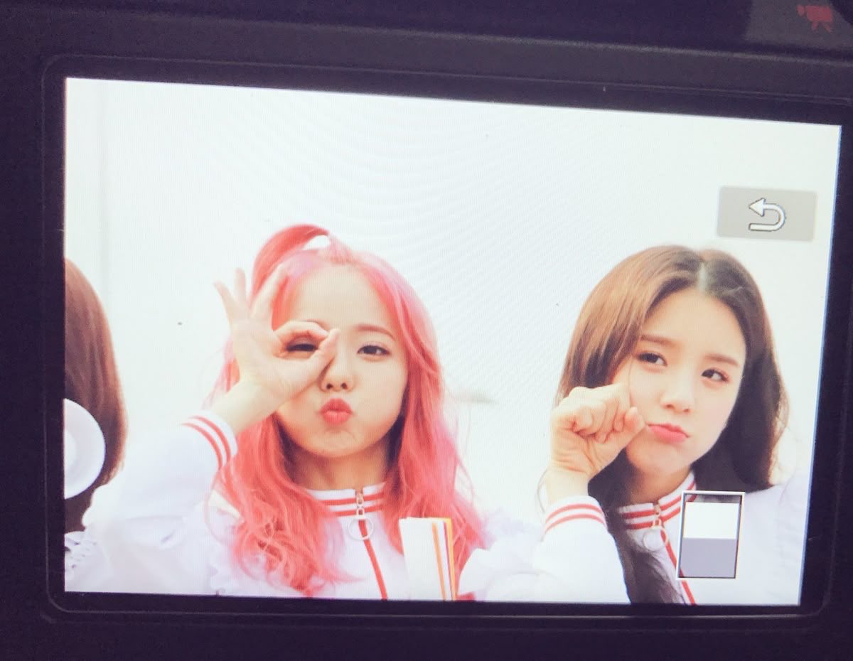 faggaara's tweet photo. jamais haverá um pink hair tão icônico quanto o da princesa wong kahei aka vivi https://t.co/brM3I3To2L