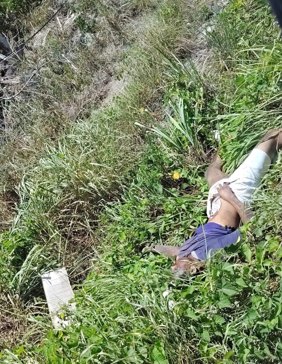 DanielCauich_'s tweet photo. 🚨 #ÚltimaHora | Localizan dos cuerpos sin vida a un costado de la carretera federal 307. En la zona trabajan elementos de la Policía Municipal de #PuertoMorelos y la #FGE. De forma preliminar, autoridades señalan que los cuerpos llevarían varios días en el lugar. @adnnoticiasmx https://t.co/0fI7U3y31i