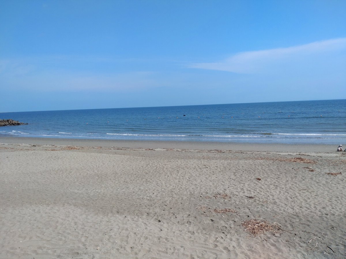 ayukakez's tweet photo. 松林に来た
ちょいキノコ🍄‍🟫探してみるけど流石に無さそう
地面カラッカラッに乾いてる
#伊勢志摩 https://t.co/23nsinWFOw