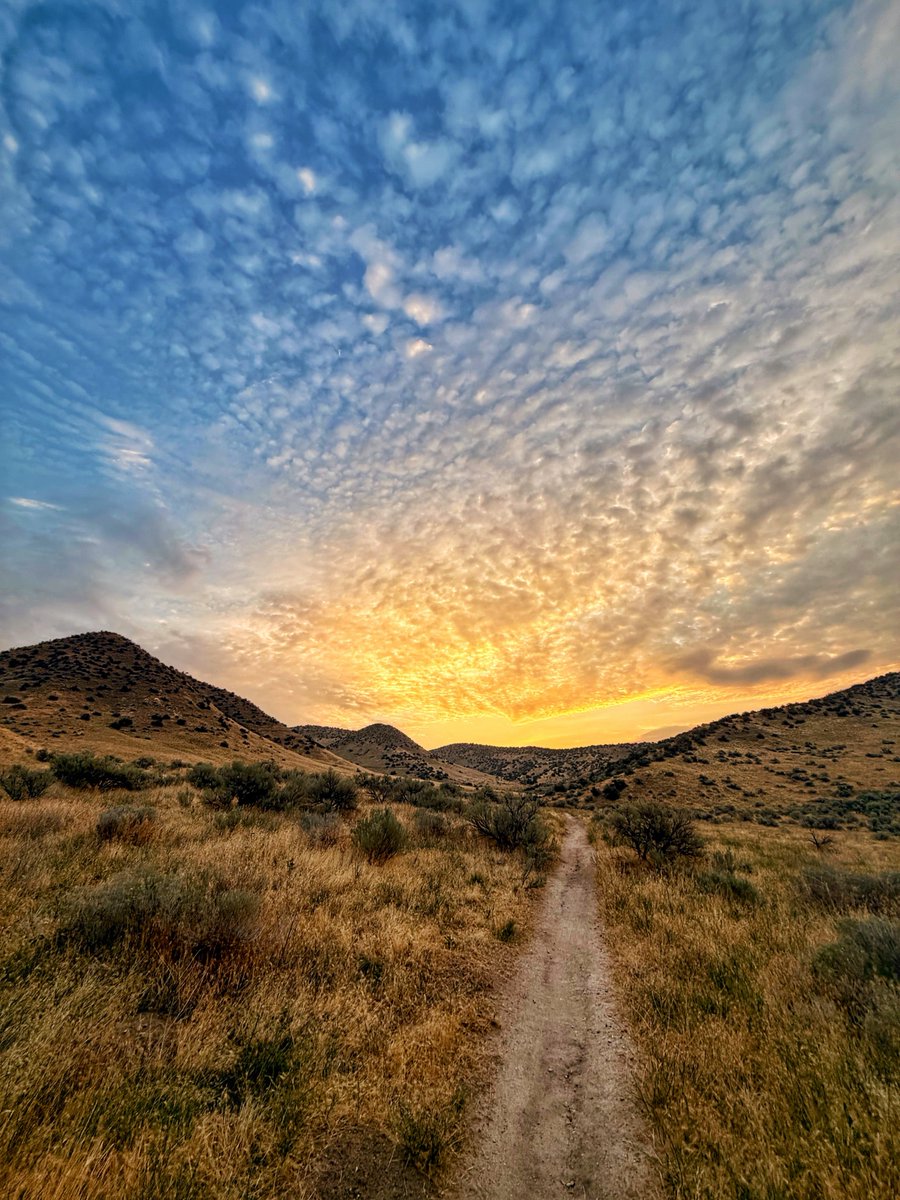 8ntmuch's tweet photo. Photo challenge, show us an image with leading lines! https://t.co/oNzDmq9Ybs