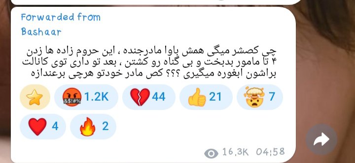 🎀 tweet media