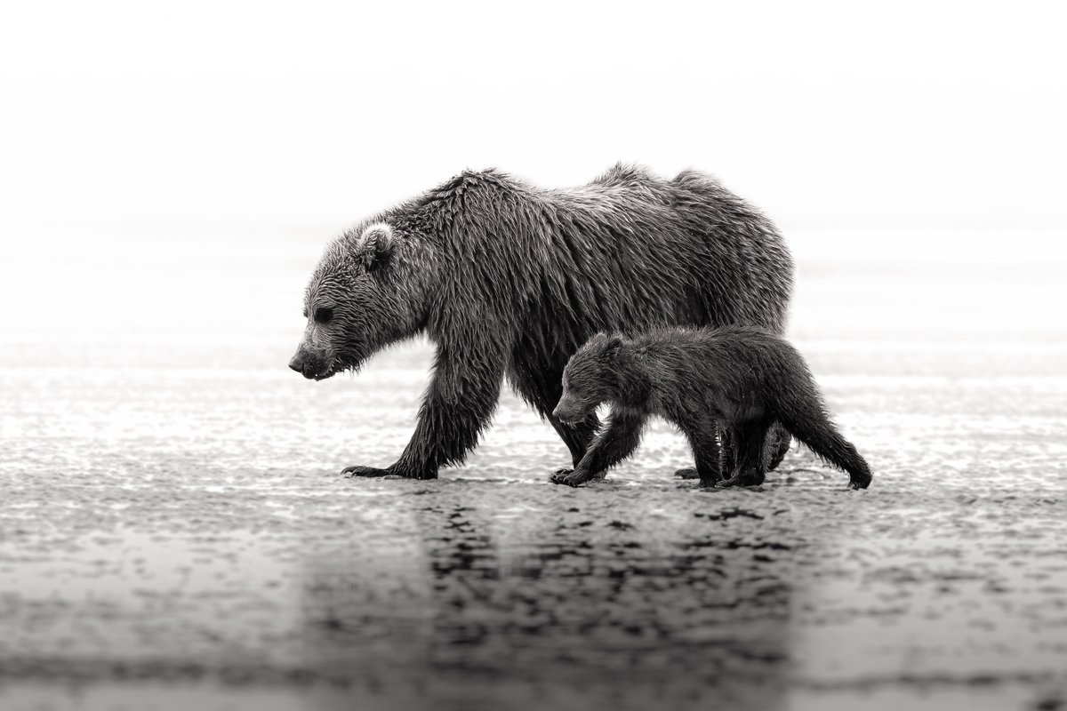 beccaderex's tweet photo. Needed to update my “Alaska Maxxing” pinned post 🏔️🩵🌊 https://t.co/QzKdnq5ik1