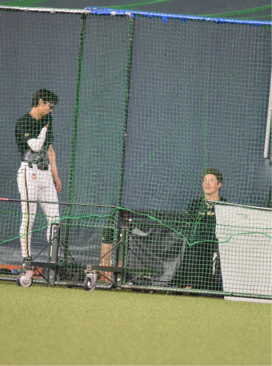 to_mo_bs23's tweet photo. 2026.07.20  練習見学

・この日は山岡くんとキャッチボール
・圭太くんとお話(あまり見ない光景)
・比嘉コーチともお話

 #吉田輝星
 #山岡泰輔
 #中川圭太
 #比嘉幹貴 コーチ
 #Bs2026 https://t.co/BY9FdMgugU