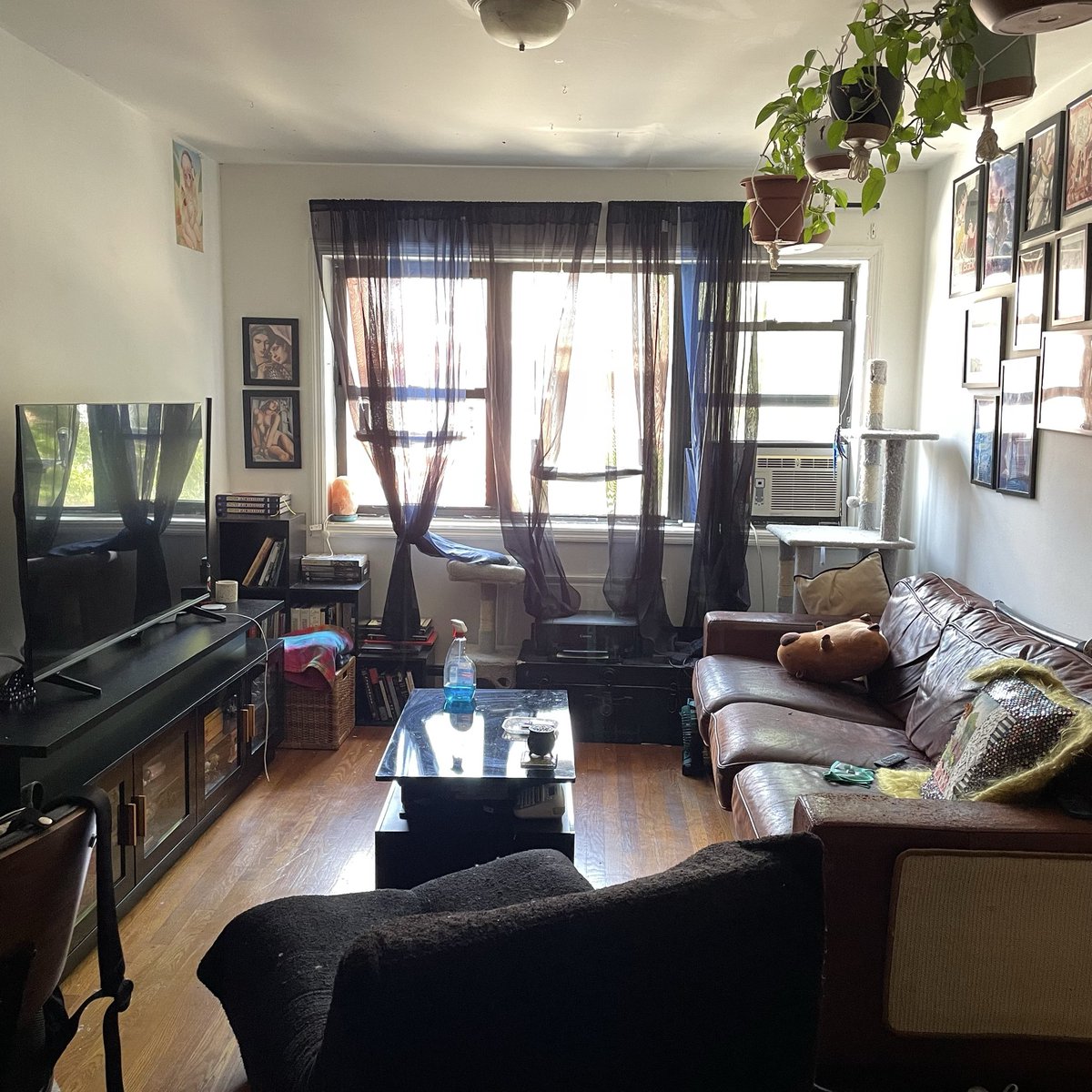 juneameliarose's tweet photo. hello i am looking for a new roommate! details below, plz share https://t.co/ZzjF5JfdSk