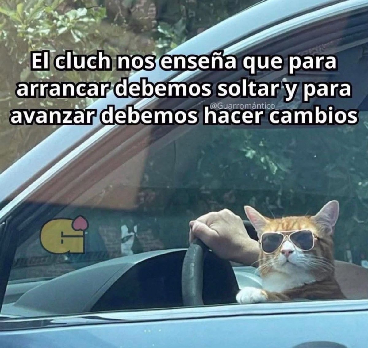 FraseSimple tweet picture