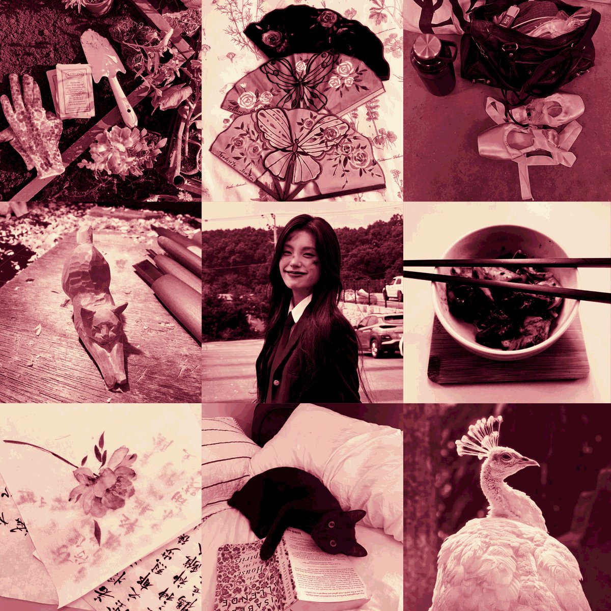 ᅟᅠᅟᅠ𝕯ʀᴀɢᴏɴ​ ┈ 𝒫𝐑𝐈𝐍ℭ𝐄𝐒𝐒 tweet media