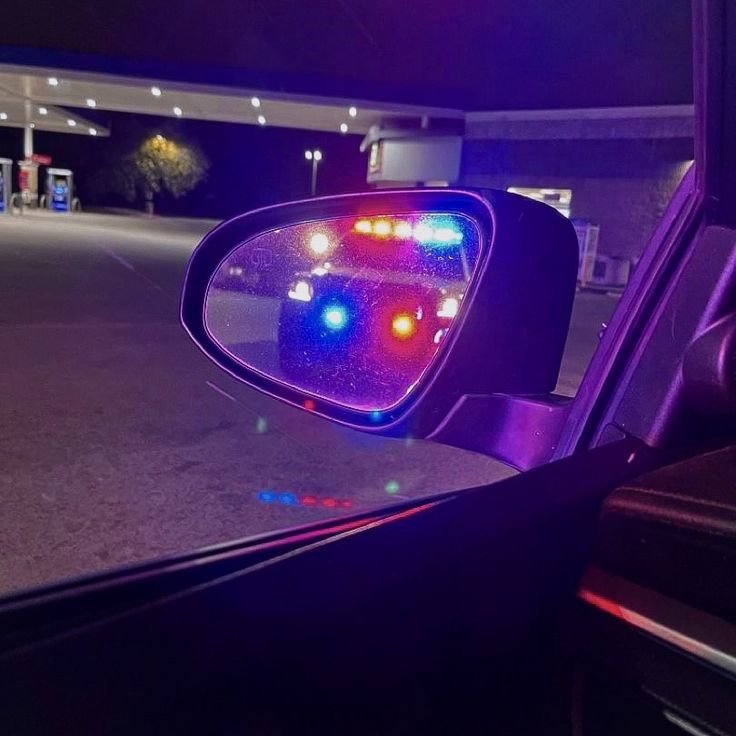 minesicolet's tweet photo. "Blue Lights &amp; Bad Timing"
– A #macolet au where LAPD officer Nevi(🐺) arrests live streamer Ysobel(🐼) for DUI while she's on vacation in LA. Between chance encounters, missed timing, and two worlds that were never meant to cross, perhaps fate refuses to let them stay strangers. https://t.co/qpBhkWfCff
