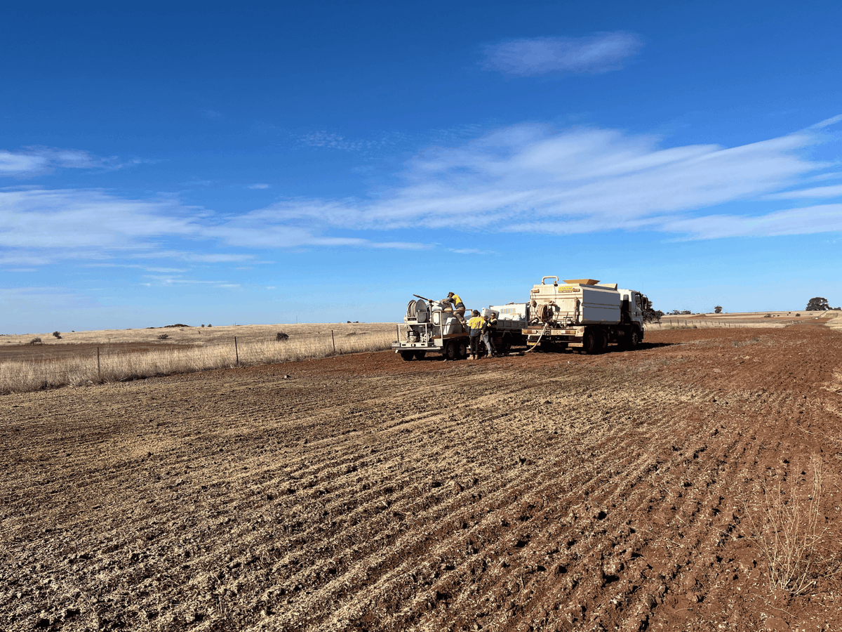 GwwVic's tweet photo. With around 34 million native grass seeds planted, the Balliang East revegetation project is helping restore one of Victoria's most threatened native grassland ecosystems. #WorldConservationDay

More 👉 https://t.co/uV1LQvsYHI https://t.co/rPvxnsichR