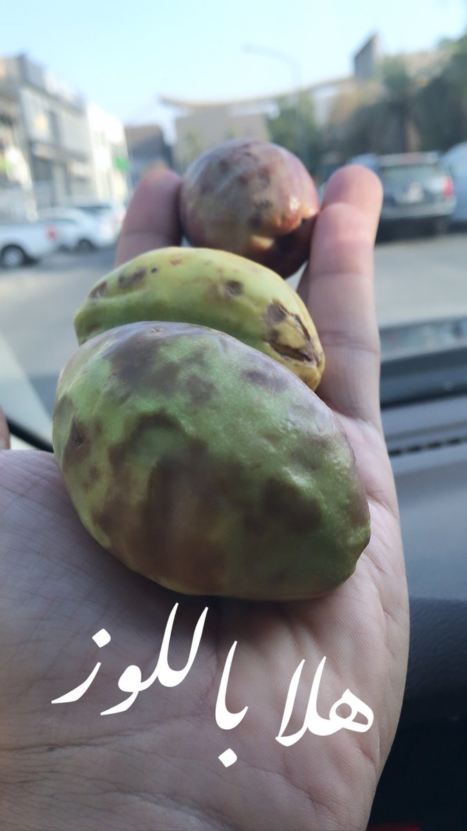hamdoolX's tweet photo. بطيخة مو لوز https://t.co/dh8h90Jvcc