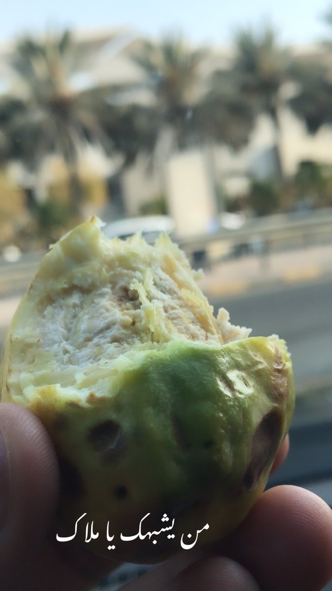 hamdoolX's tweet photo. بطيخة مو لوز https://t.co/dh8h90Jvcc