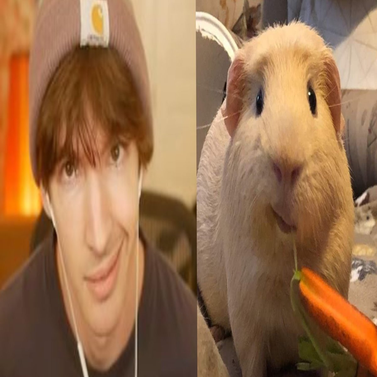 Shachi Hat Licker | Elbaph tweet media