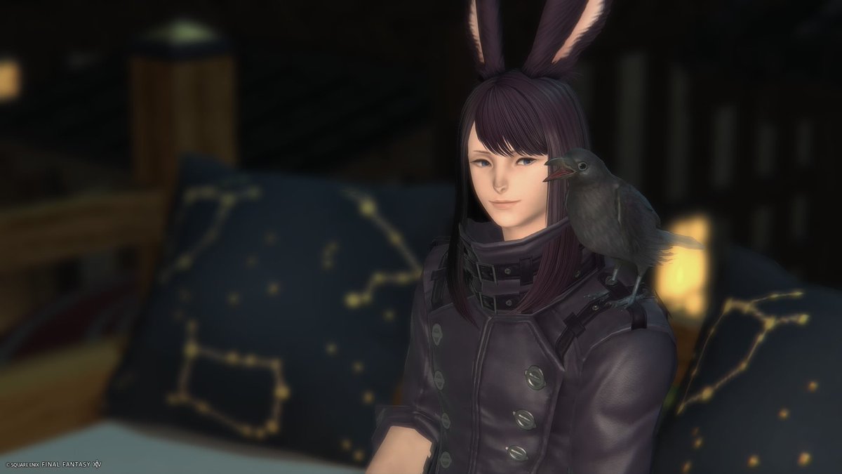 mitarsi_ff14's tweet photo. 昨日まで知らなかったんだ
「手まねきする」で好きな時に肩に乗ってくれるなんて https://t.co/jT3EOCG7tp