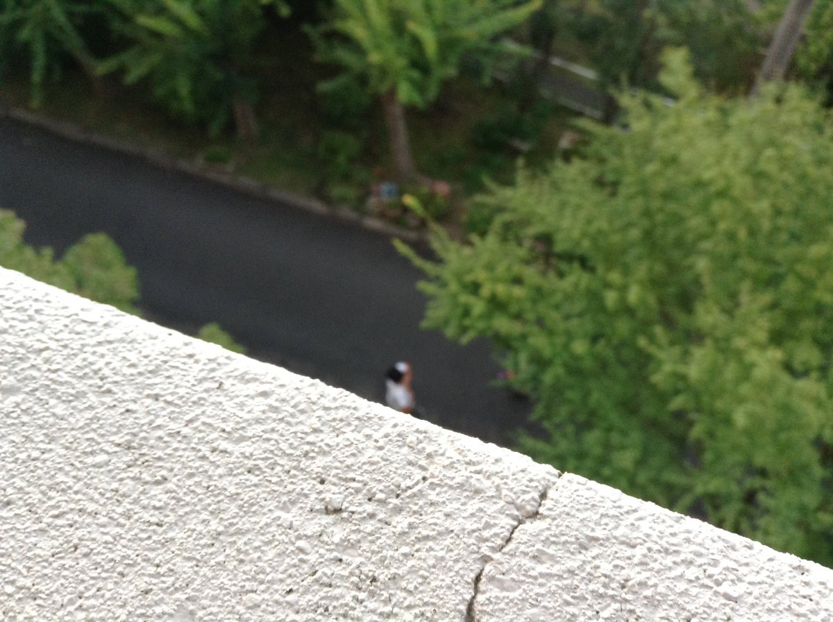 F_Fandian's tweet photo. 所在の記録
2015/07/26 https://t.co/eDSgSHVlpC