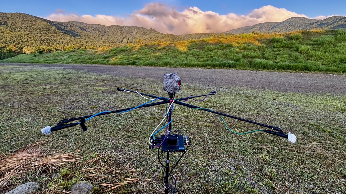 Nature Sound Effect : miduno tweet media