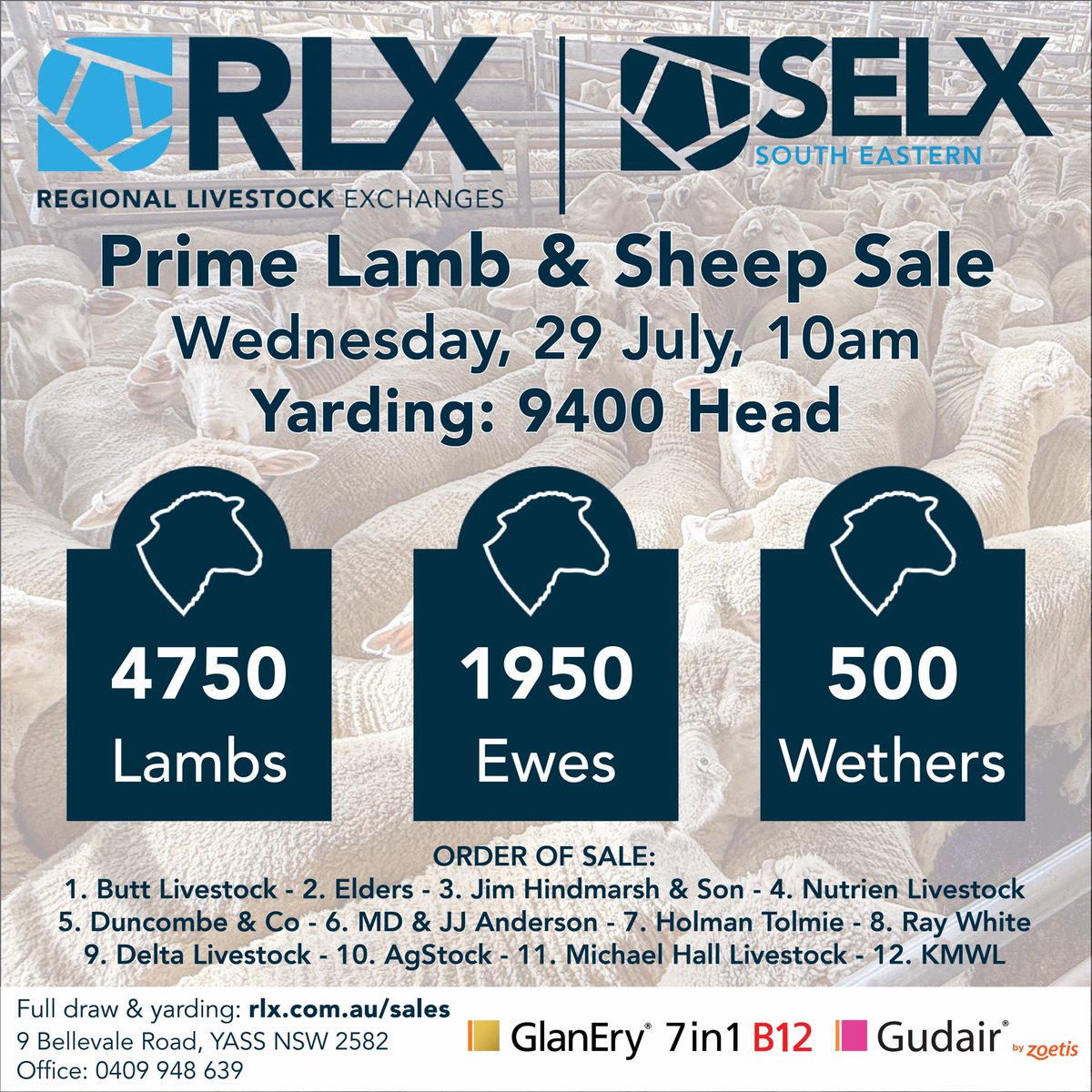 SELXNSW's tweet photo. Prime Lamb & Sheep Draw & Yarding
Wednesday 29 July, 10am
Full draw & yarding @ https://t.co/jj3M4AlRzj
Brought to you by Livestock Solutions With Zoetis
#RLX #SELX #hammertime #sheep #lambs #ewes #merino #xbsuckers #xblambs #livestock #saleyards #aussielamb #FoodAndFibre https://t.co/tO0KB5sNTB