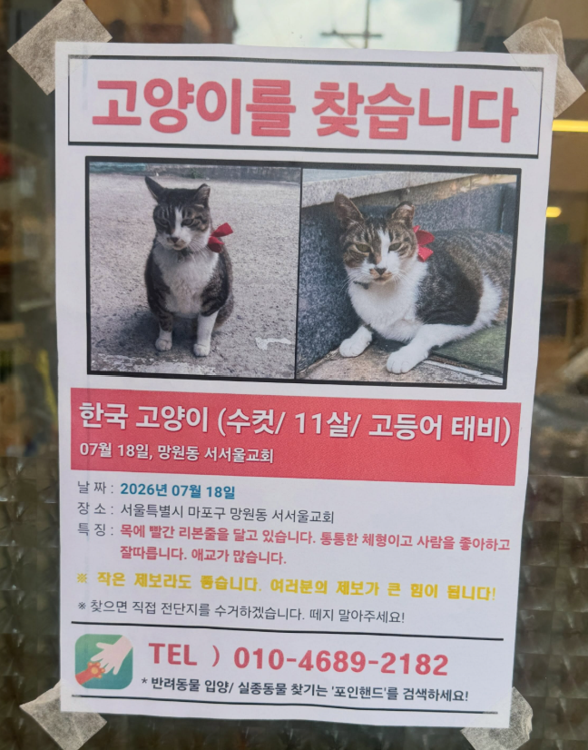 michinnom4bucky's tweet photo. 망원동 고양이를 찾습니다
망원동에서 10년 넘게 살며 동네 주민들의 사랑을 듬뿍 받던 친구 중 한 마리가 사라졌어요 
엄마 고양이가 딸을 간절히 찾고 있습니다🥹🥹🥹
자세한 사항은 첨부된 사진 및 인스타 게시글을 확인 부탁드립니다 

알티 및 공유 부탁드려요 https://t.co/Ea7Z2HCOJX