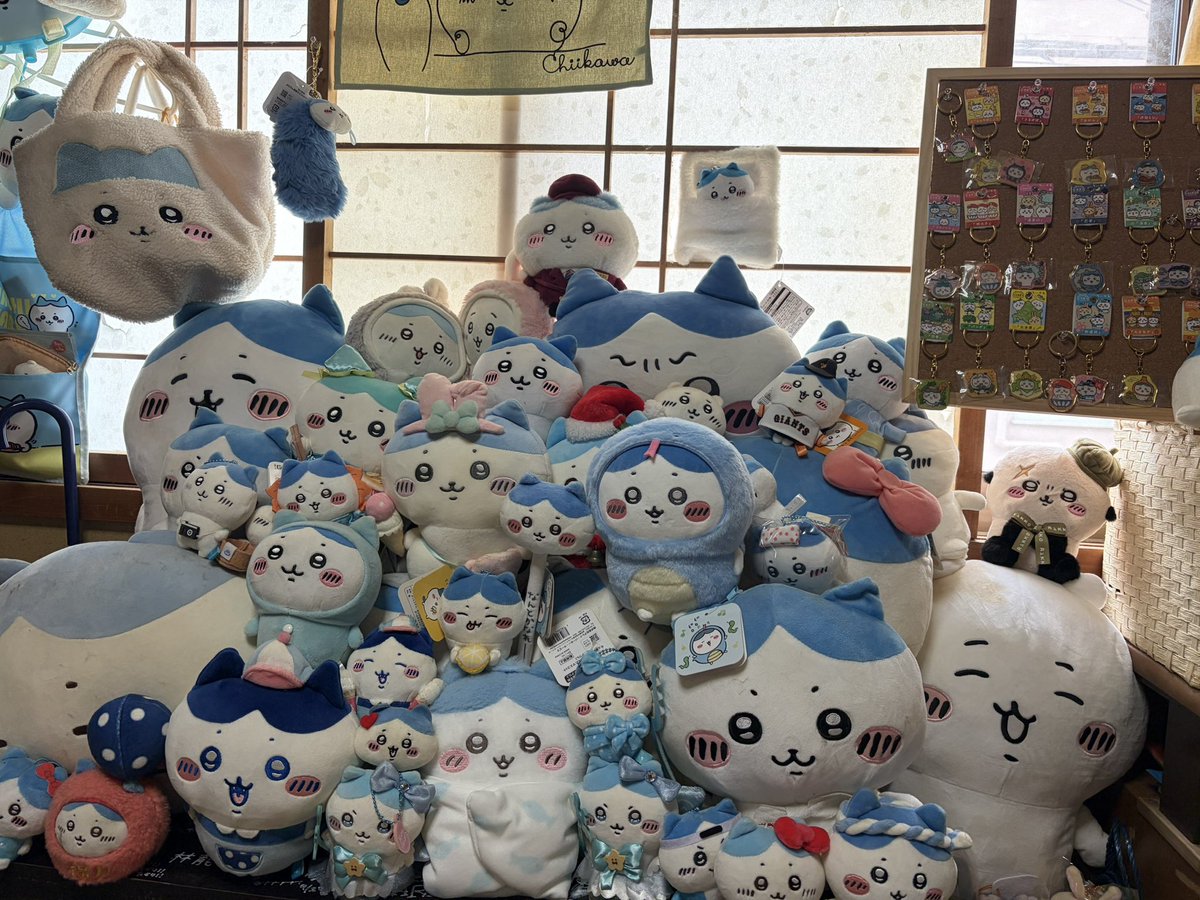 akandy41's tweet photo. ちいかわ映画4回見たけどまだ見たいレベルでおもろい

来週はお台場ちいかわにはるちゃんとにゃんと行くぅぅ🩵 https://t.co/ugK1pN8H96