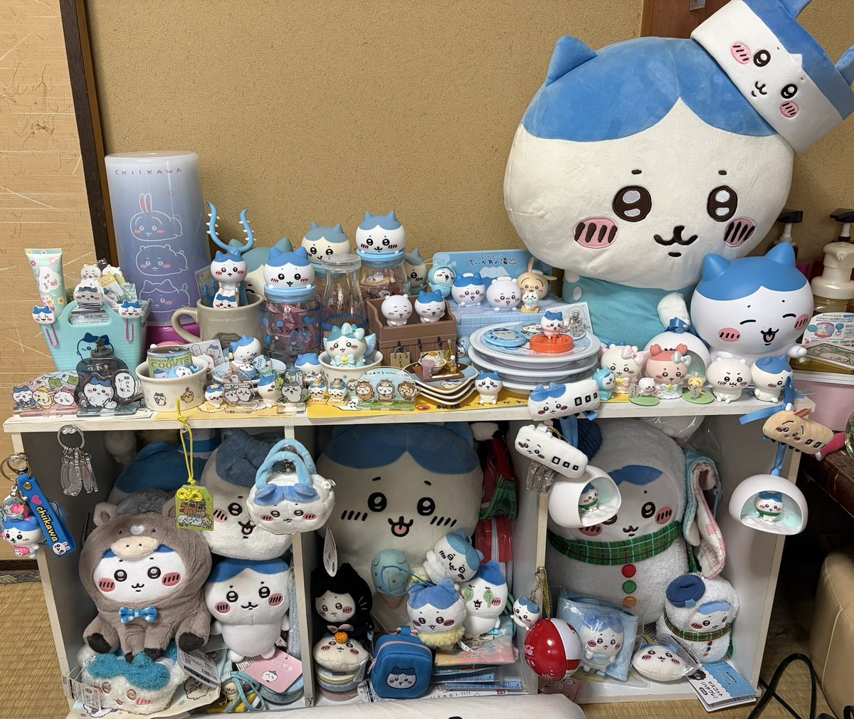 akandy41's tweet photo. ちいかわ映画4回見たけどまだ見たいレベルでおもろい

来週はお台場ちいかわにはるちゃんとにゃんと行くぅぅ🩵 https://t.co/ugK1pN8H96
