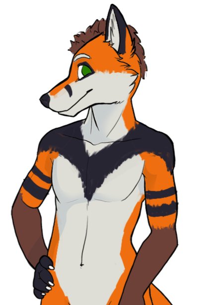 foxtail338's tweet photo. I finally got a ref sheet for my boy with help from the lovely @MooseScribbles 

(Ref sheet template from CAT-BIRD) https://t.co/lQjgyK98YM