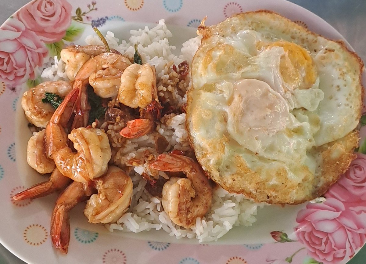 sorajate's tweet photo. จุ้งที่เรารัก 🦐🦐🦐
วันนี้มากับ กะเพราจุ้งไข่ดาวคู่🦐🐣

ทานข้าวเช้ากันคร้าบ 🫶 https://t.co/Wu0O5ZCArm
