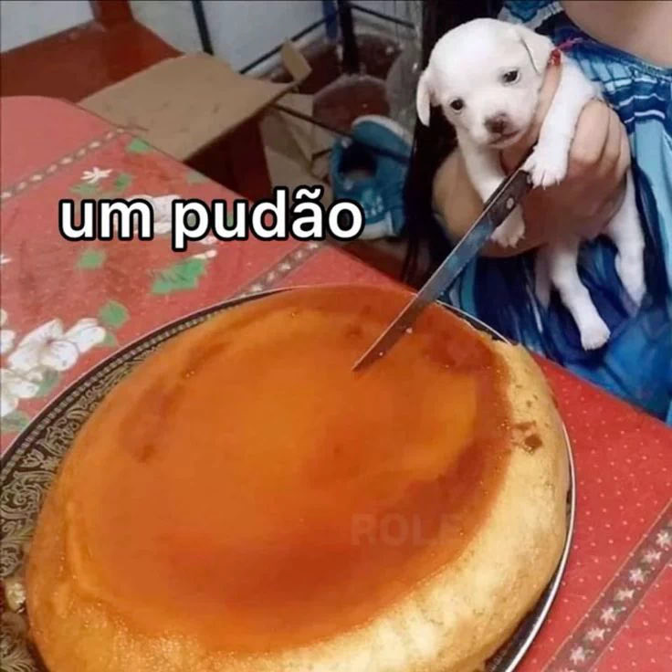 asvero69's tweet photo. Só queria um pudão… https://t.co/jWrd5DWAsm