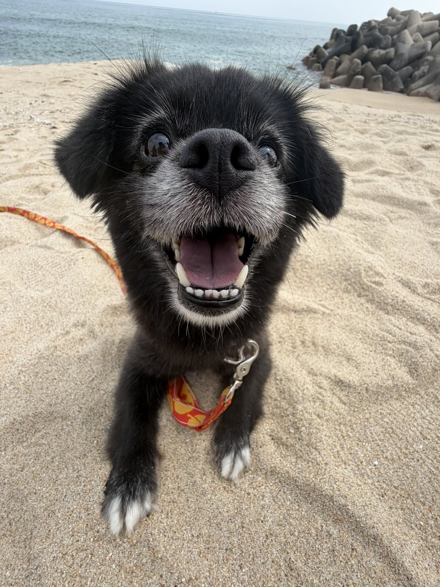 danbeebb's tweet photo. 언니 내일도 회사 째자 https://t.co/kuG93MPQJy