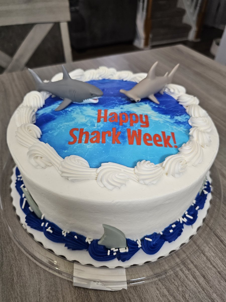 nursebeth1's tweet photo. We take #sharkweek seriously around here 💙 🦈 https://t.co/FqYR32fd5D