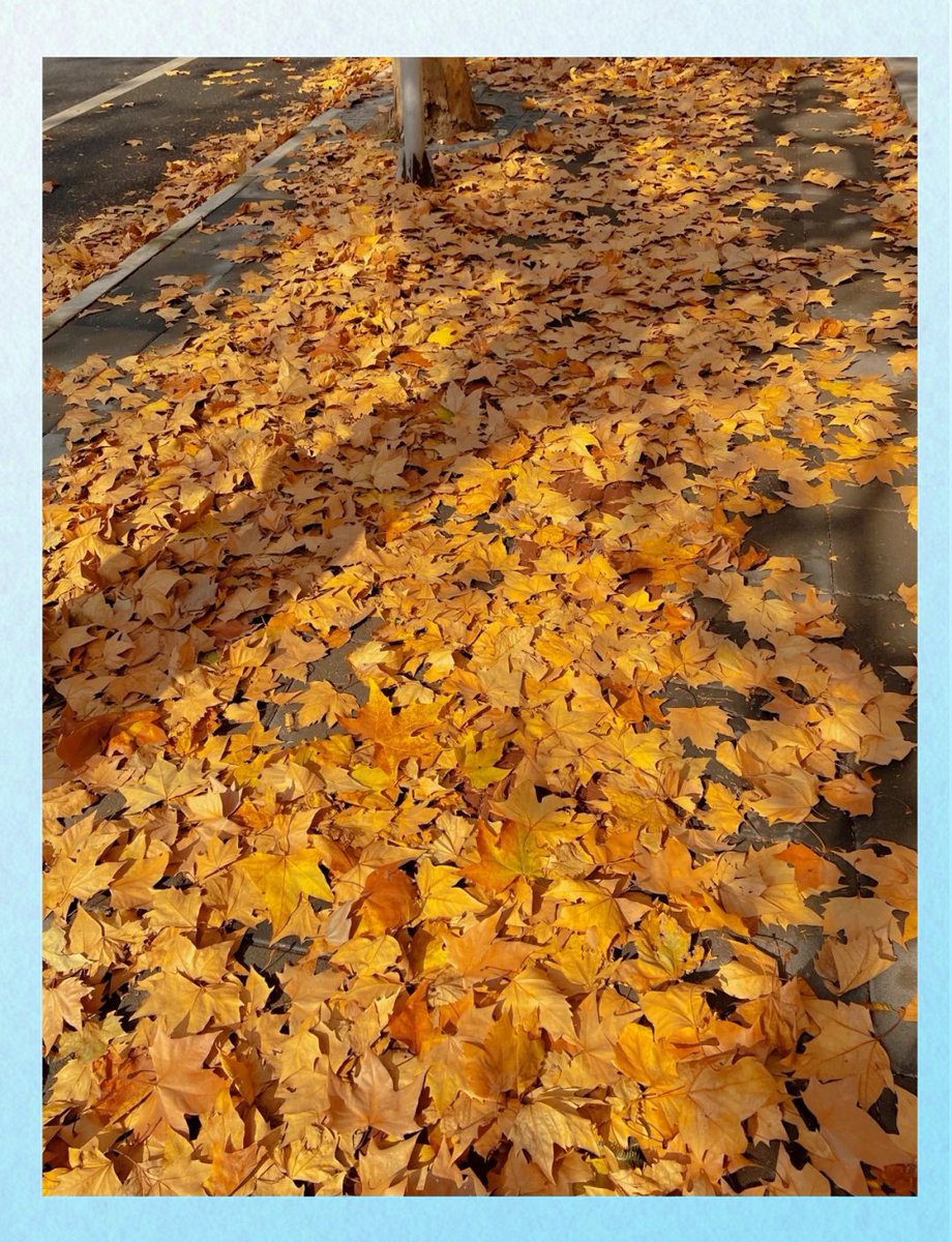 MvHamg4xmpygSVF's tweet photo. 今日立秋，傍晚的风终于褪去暑气，喝杯冰美式都觉清爽～， https://t.co/cY2QdD81bk