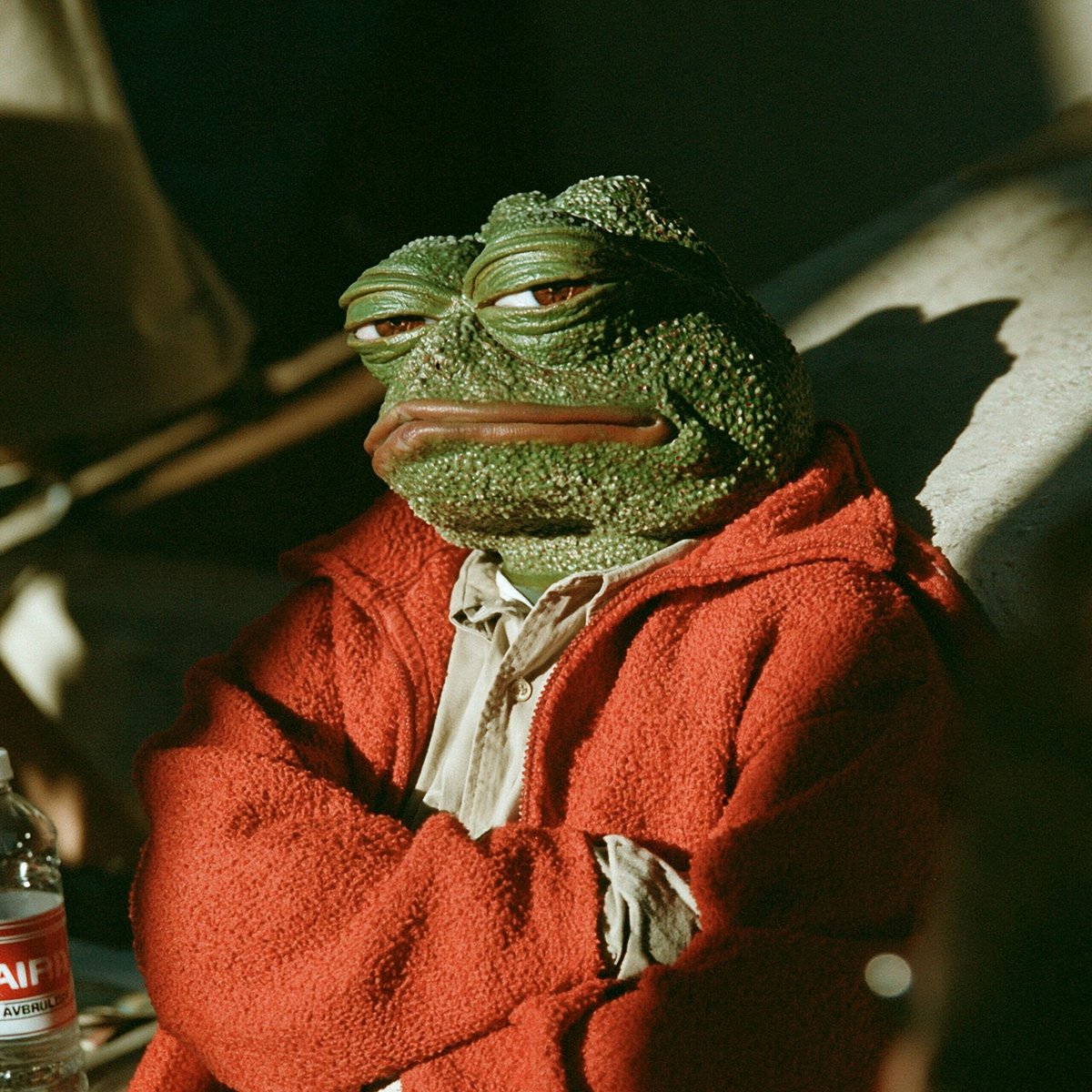 Qzoomer1's tweet photo. Unc groyper appreciation post https://t.co/QOmDBwfWCt