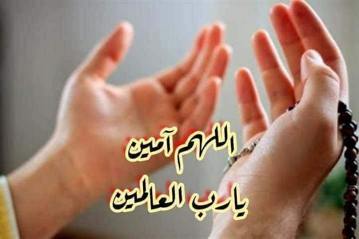 91919sayedawad's tweet photo. @ggssggssss https://t.co/RuS61GDbdL