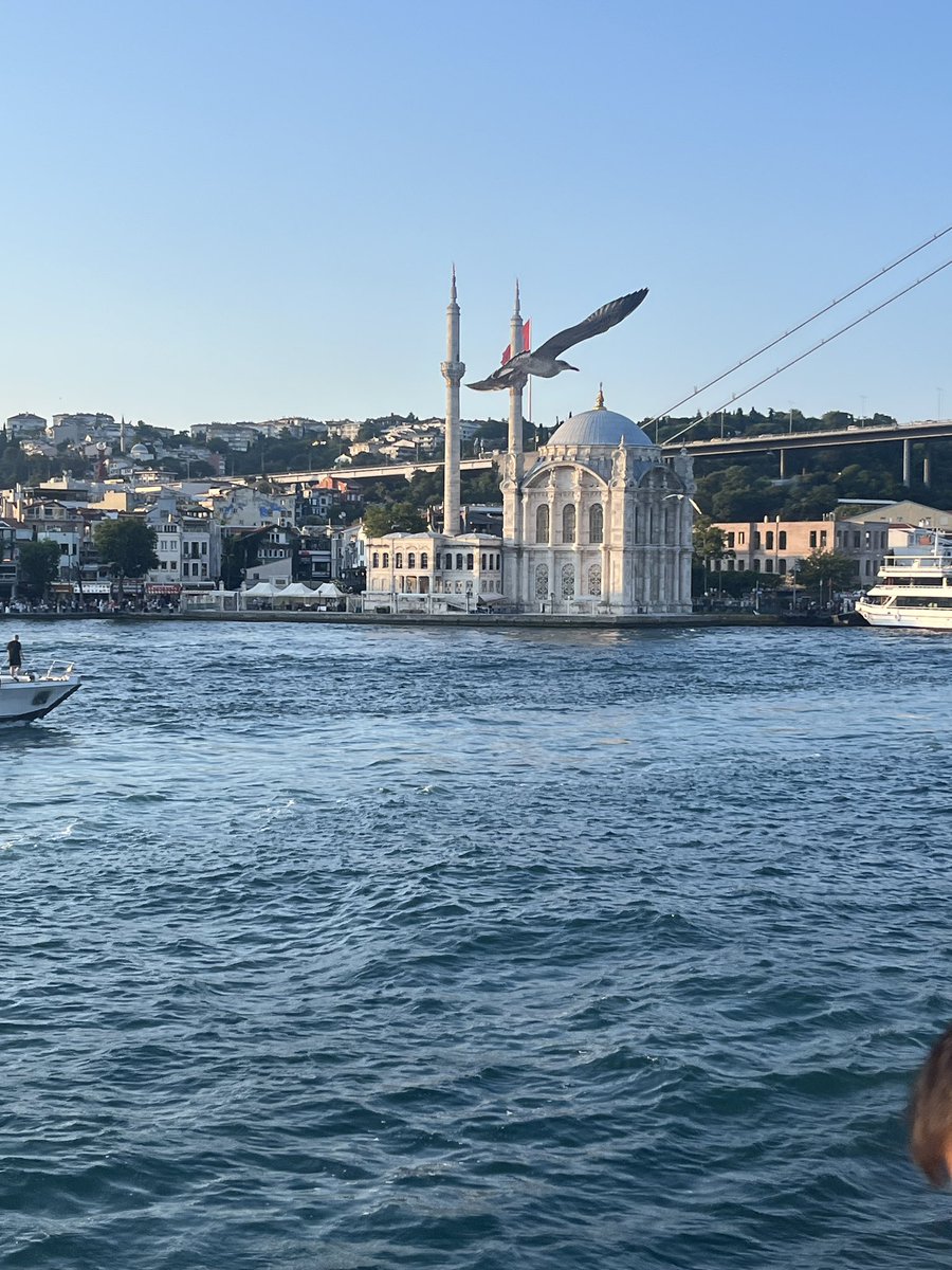 Thel5050's tweet photo. كجمال اسطنبول .. مفيش 😌🇹🇷 كان اختياري موفقاً 👌 https://t.co/51Vyh8y2Z6