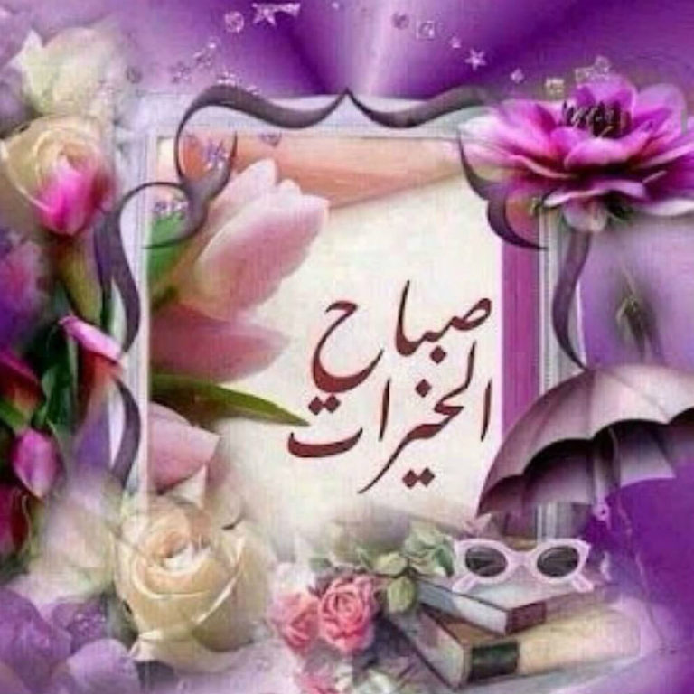 AdaiAlhareedi's tweet photo. @QOn09 https://t.co/3olmty0vp5