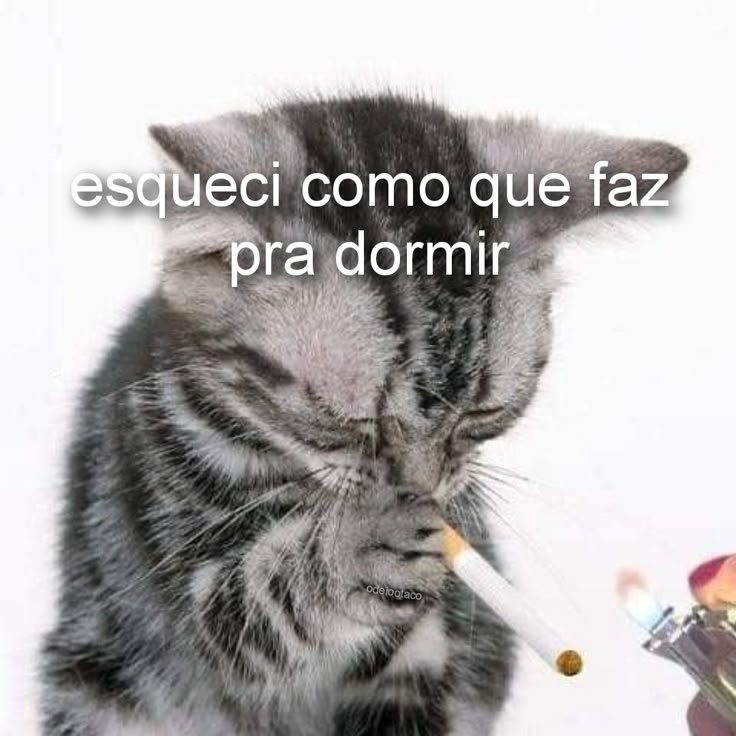 𝚂𝙰𝙼 シ tweet media