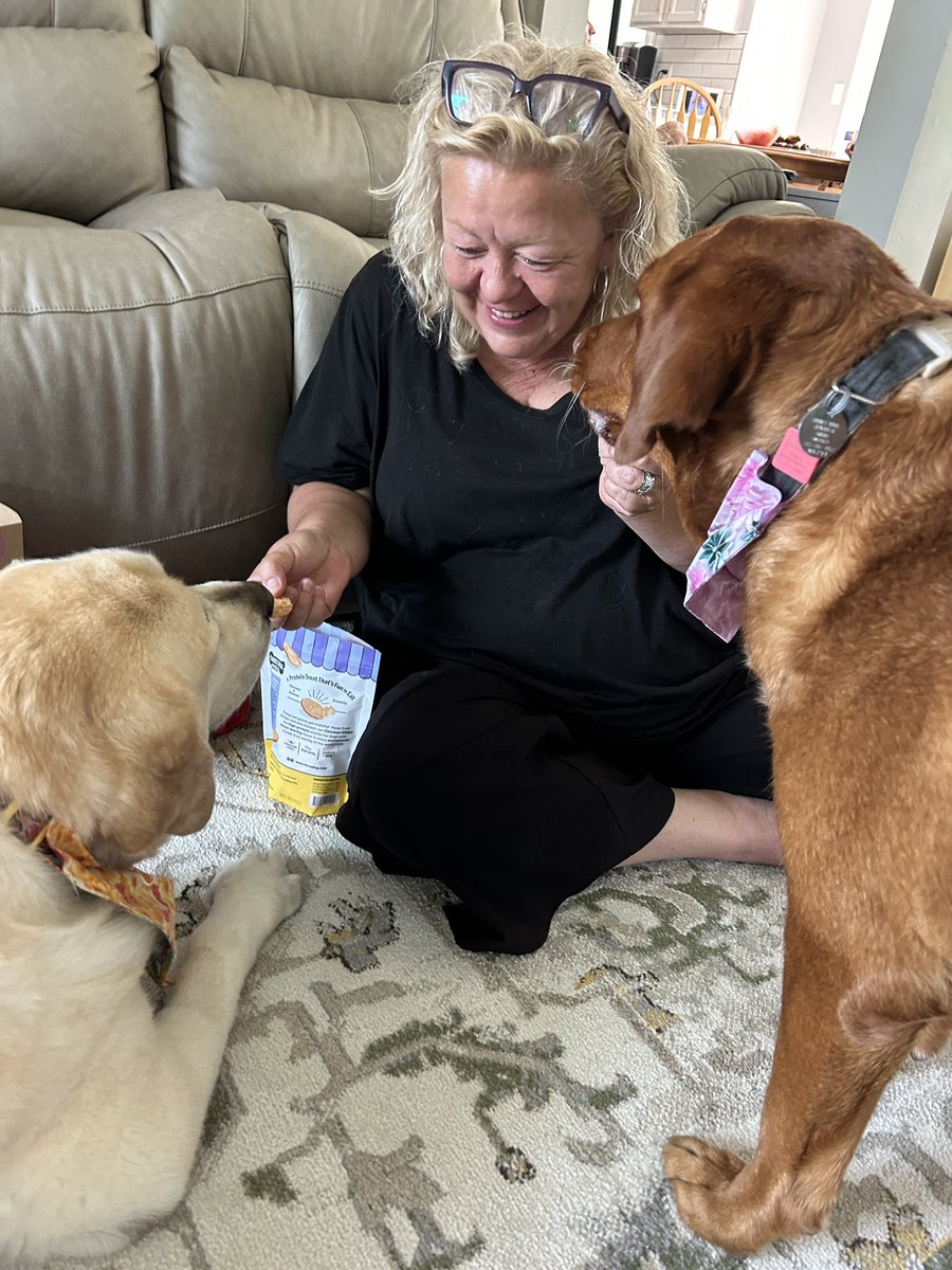 💛 Linda 👩 & Angel Daisy 🌈🦮 💛 tweet media