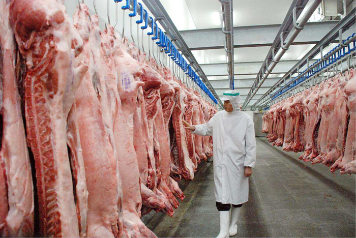 Kalicsa_real's tweet photo. Thirtififth Kalics word of the day!

"Narëms" meaning "[stored] food"

IPA: /naɾaɪmz/ (As per Decsujan Standard)

Refers to, for example, the meats a butcher may have in the shop's freezer. Can be used for the food in your fridge too, but for that the normal word for food is fine https://t.co/pxlWGmsYna