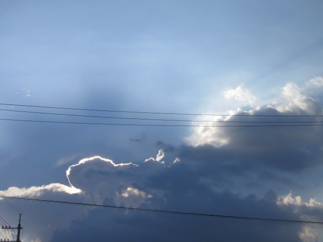 art_yume's tweet photo. 凄い入道雲は出てるんだけど、雨降らず・・・そろそろまとまった一雨が欲しいです。ハーブガーデンもローズガーデンもカラカラに乾いています。 https://t.co/SHMZQ9lAYS