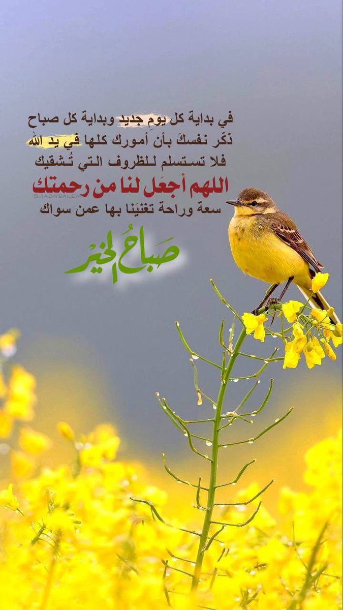 hashmi00786's tweet photo. *( وَمَا كَانَ رَبُّكَ نَسِيًّا )*
"لا تعجّل بحوائجك قبل وقتها، فيتألم قلبك ويضيق صدرك ويغشاكَ القنوط... فبعـض الدعـوات الجميلـة لا تُستجاب فـي لحظتها و لكن الله لا ينساها"

صباح الخير 🌴🌴 https://t.co/KXtrDW2c0r