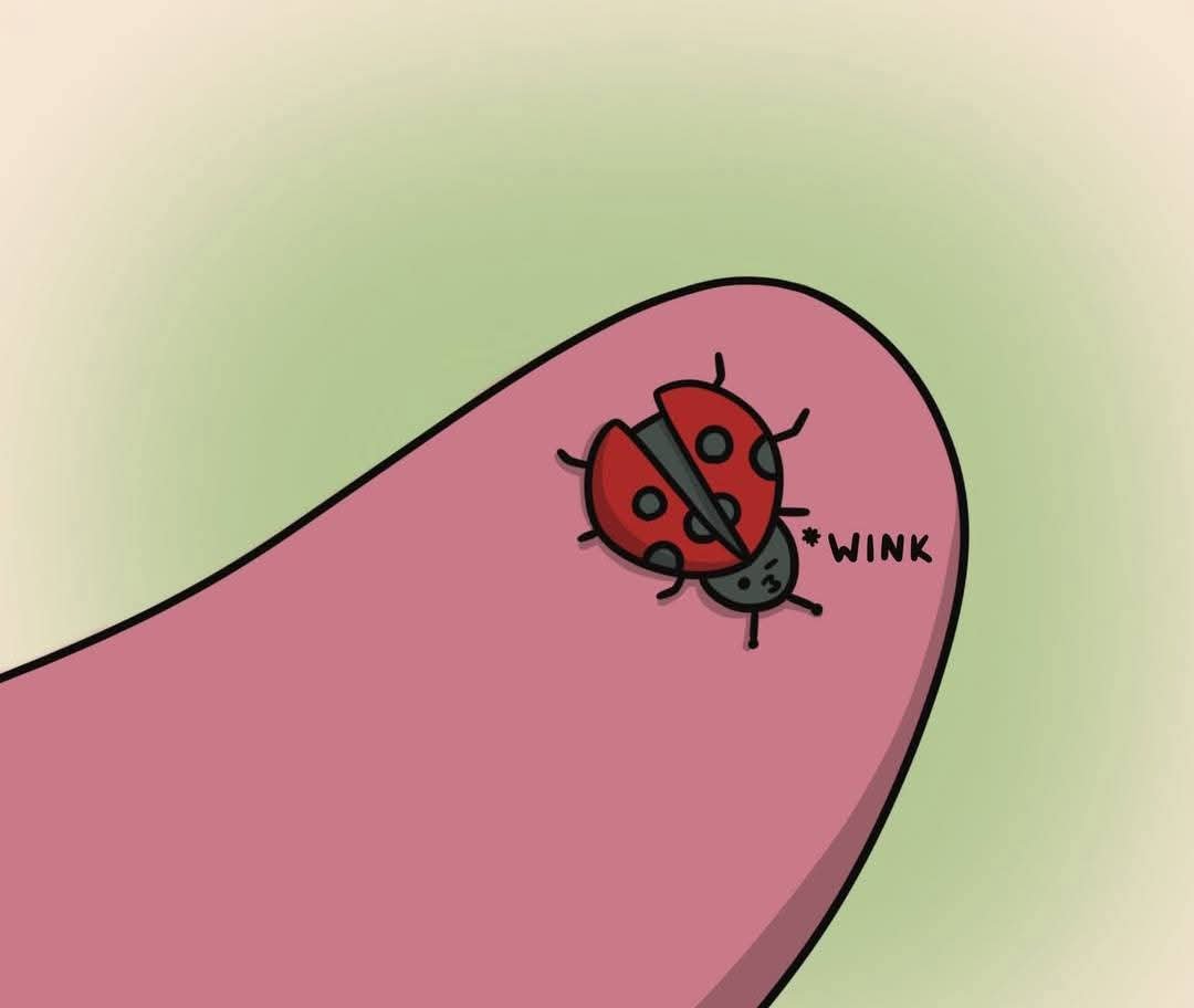 Ghostdude16's tweet photo. @SkyAboveMe_Art *leaves this and cookies* https://t.co/ufKAlRU8VF