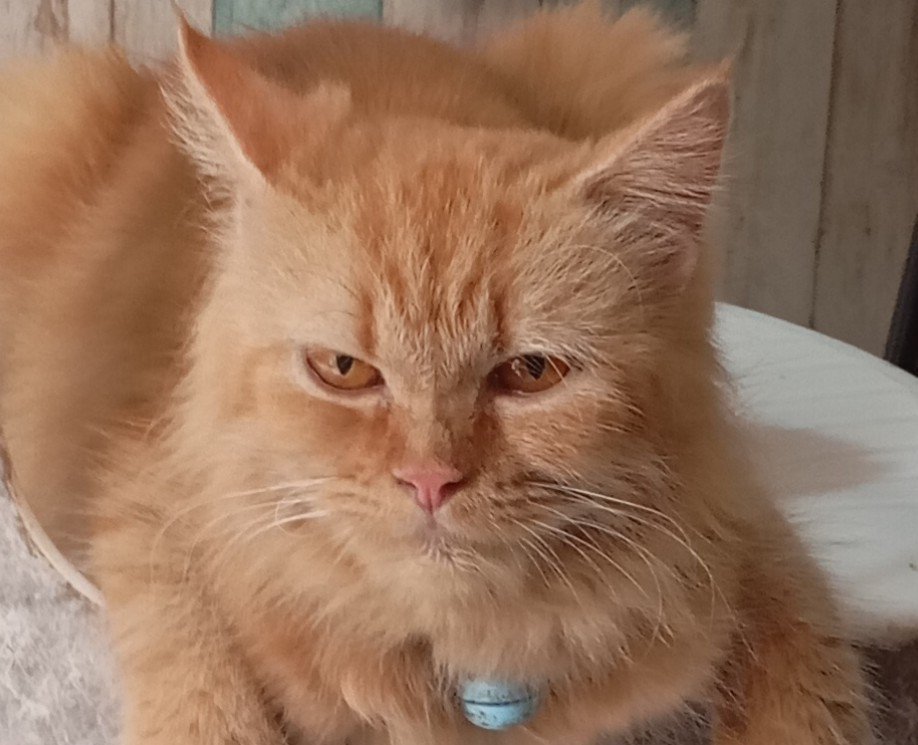 notsofurfect's tweet photo. LG badmood dia sepertinya https://t.co/GEudJQYwQv
