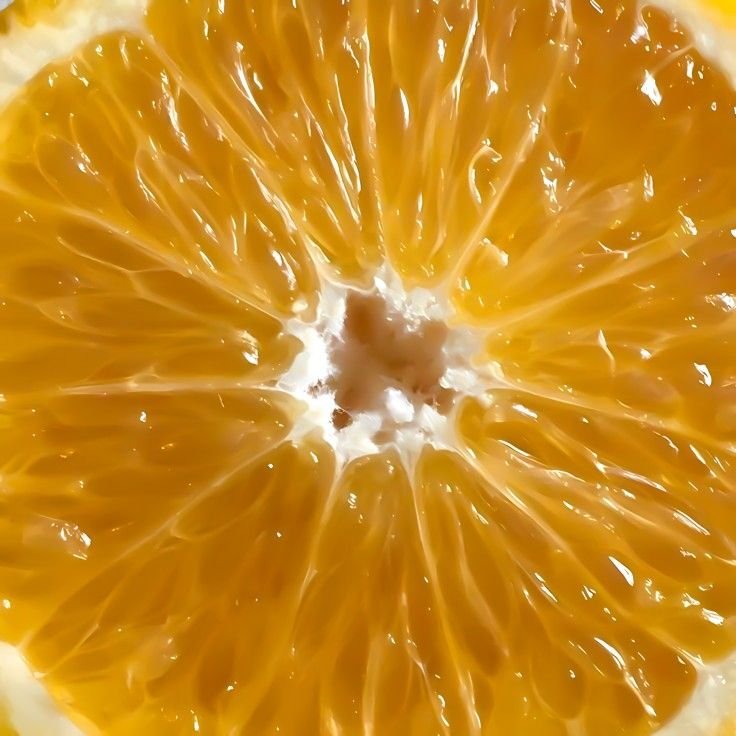 Liw_luvMatt's tweet photo. -------- [ℬᴜsᴄᴏ 𝓜ᴜᴛɪs]

  (#obstwt #cannibaltwt #shtwt) 

 ⠀⠀ ⠀⠀ ⠀⠀ʜᴇ | 15𝑦 | ʜɪᴍ

│𝑢𝑙𝑡: 𝒩𝑚𝑖𝑥𝑥, ℛ𝑒𝑑 𝑣𝑒𝑙𝑣𝑒𝑡, 𝓣𝑟𝑖𝑝𝑙𝑒𝑆

│𝑑𝑛𝑖: 𝑧𝑜𝑜 , 𝑝𝑒𝑑𝑜
୨ৎ
╰──────────────> https://t.co/IrfovEA0q5