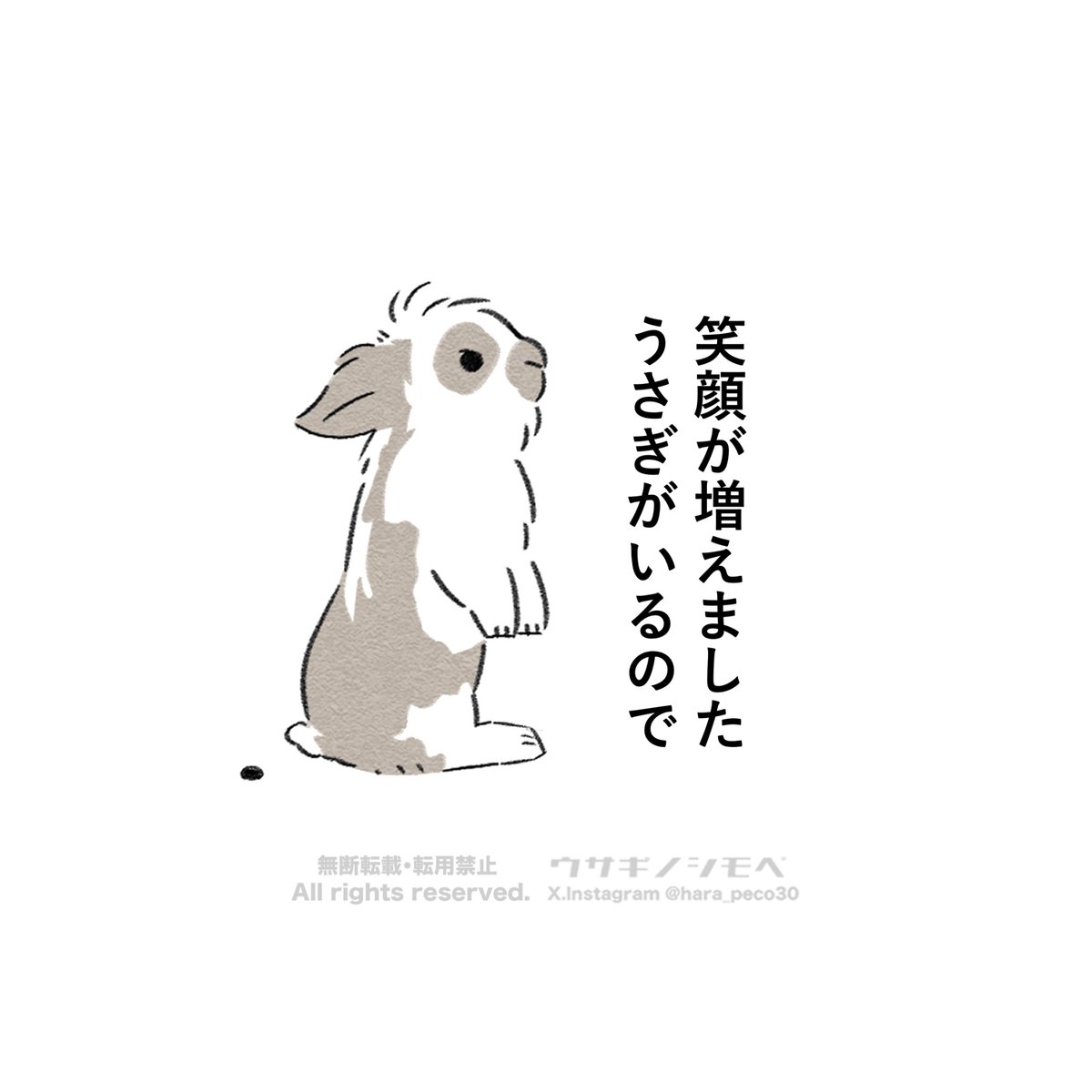 hara_peco30's tweet photo. 笑顔が増えました
うさぎがいるので🐰 https://t.co/D88UW0lPHv