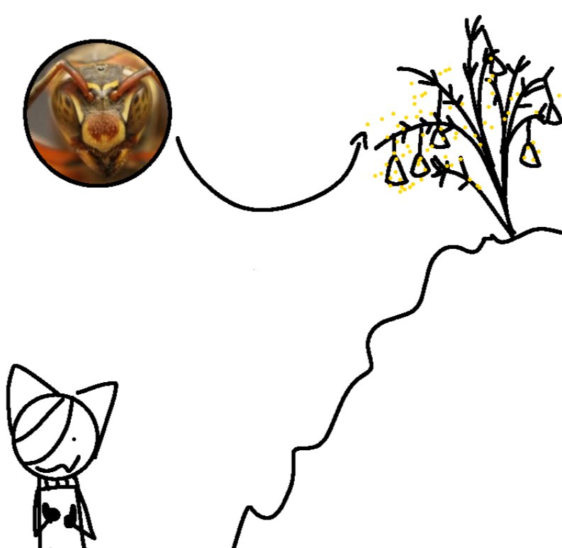 cactus_cuddler's tweet photo. making a playground map in grounded and the final area looks like this (wasps are a big scary) https://t.co/kUpPslNw40