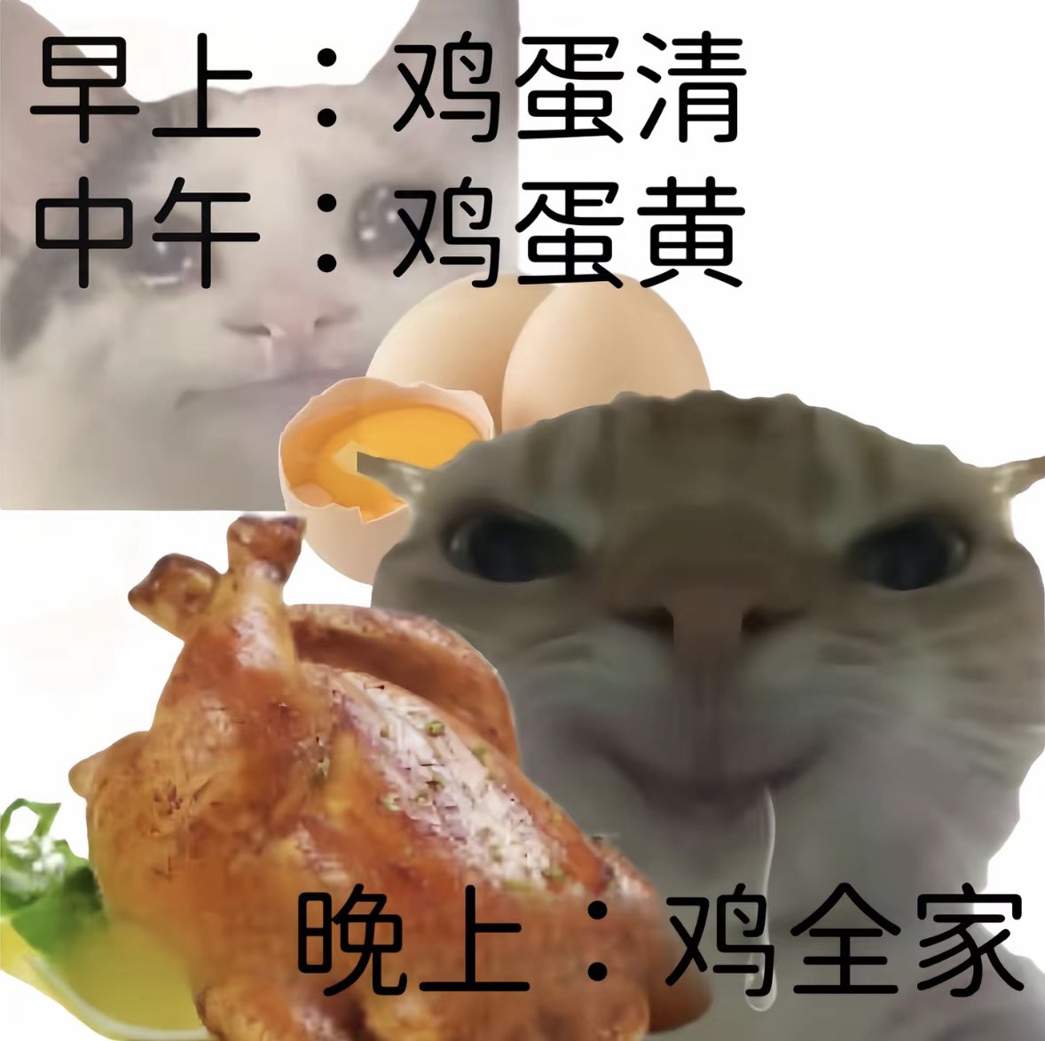 panxue2004's tweet photo. 我每天的食量belike： https://t.co/QcivWmy4Ul