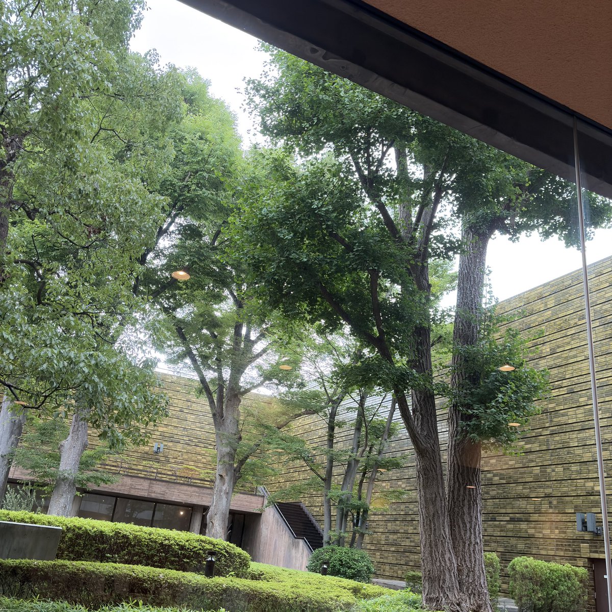 0_0poseidon's tweet photo. 雨なので西美のすいれん。窓の外が綺麗だ https://t.co/WslxRKzIVs