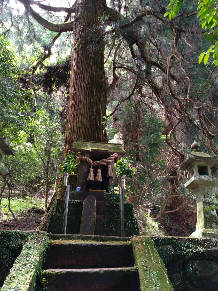 botreetee's tweet photo. 同じ敷地に、大きな3本の杉の木に囲まれた小さな祠がありました。
あとで調べたところ、#山神社 という神社でした。

それぞれの神社のネーミングも良き！苔むした感じがたまりません。

清流と木々の豊かな自然に包まれてとても癒される場所でした。
水も美味しい!

熊本県上益城郡御船町

2026.7.11 https://t.co/bFsPZgMfCE