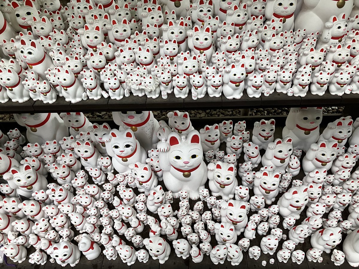 cyari_'s tweet photo. 豪徳寺
#猫寺 https://t.co/vzb1glyMoS