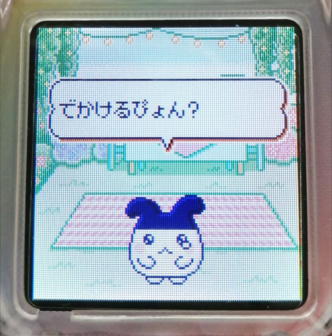 めろんちゃん tweet media