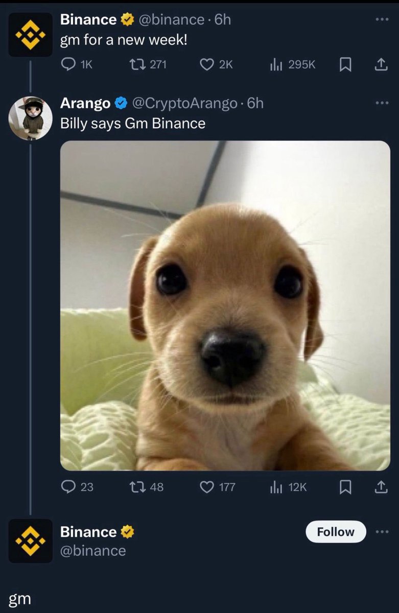 billycoin4ever's tweet photo. another one?

billyons https://t.co/MCnY4Q5K8q