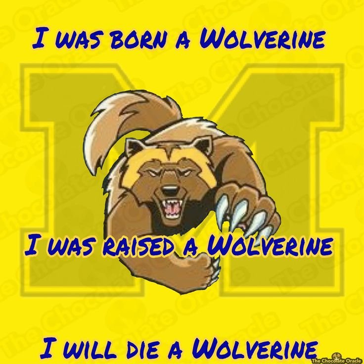 419MAIZE's tweet photo. YUP!!! 😤😁 https://t.co/8FedDKUuqF